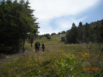 MontMezenc