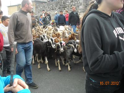 fete_de_la_chevre