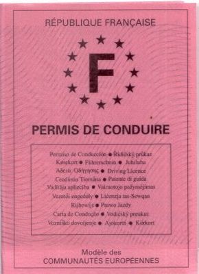 cliquez ici pour agrandir un permis à points